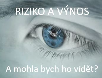 Riziko, výnos. A mohla bych ho vidět?